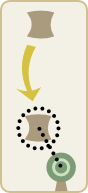 Diagram of dragging leaves